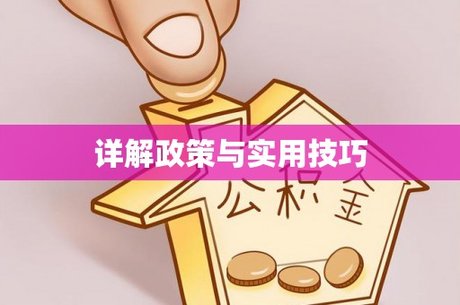 都兰详解政策与实用技巧