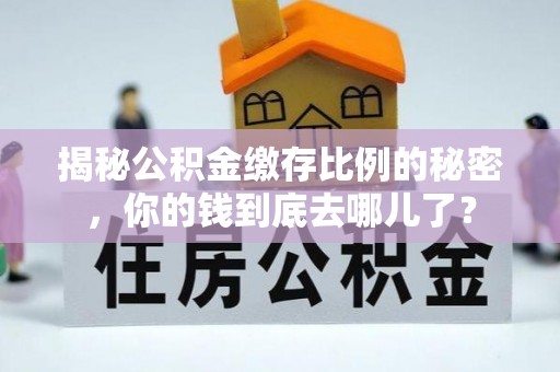 都兰揭秘公积金缴存比例的秘密，你的钱到底去哪儿了？