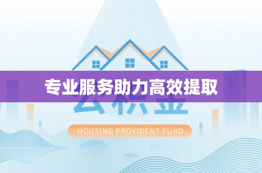 都兰专业服务助力高效提取