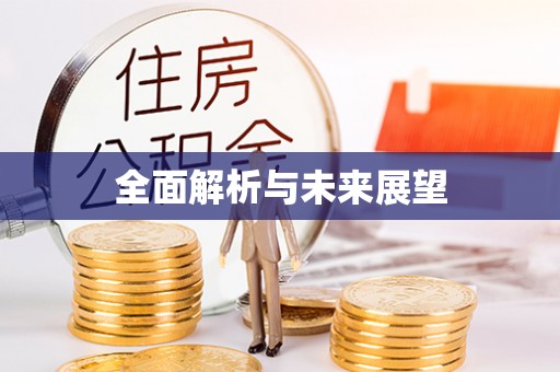 都兰全面解析与未来展望