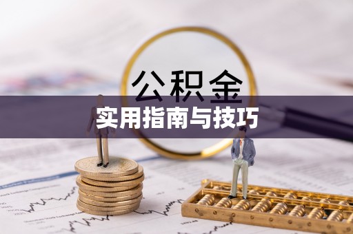 都兰实用指南与技巧