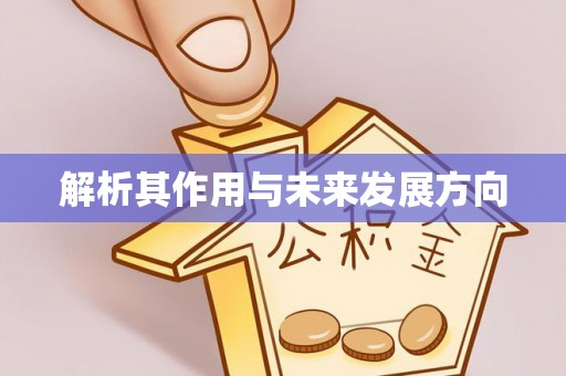 都兰解析其作用与未来发展方向