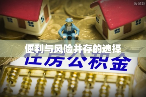 都兰便利与风险并存的选择