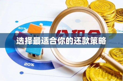 都兰选择最适合你的还款策略