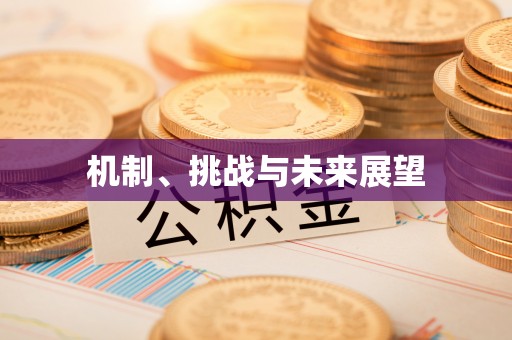 都兰机制、挑战与未来展望