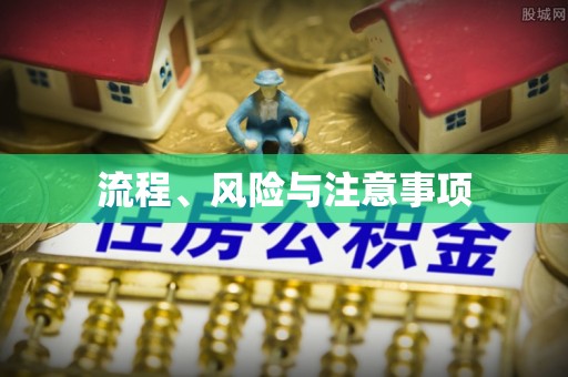 都兰流程、风险与注意事项