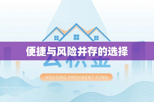 都兰便捷与风险并存的选择